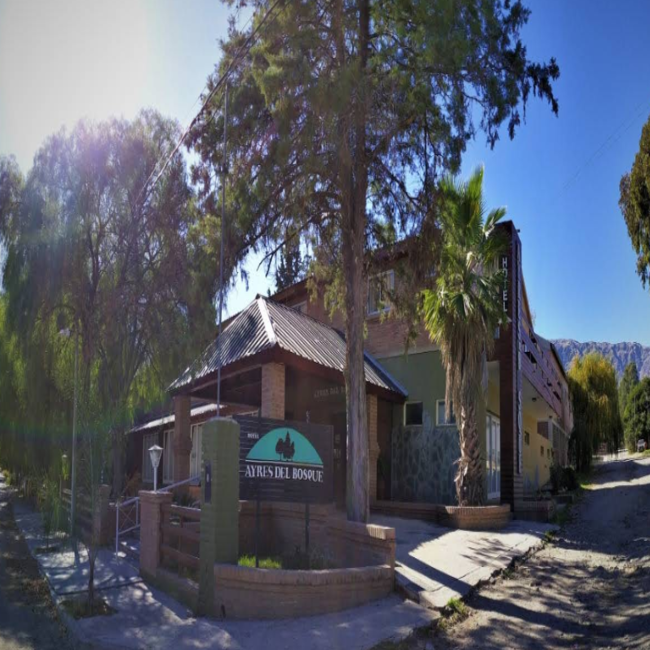 Ayres del Bosque