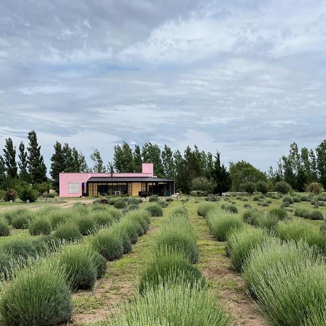 Finca Aguas Claras