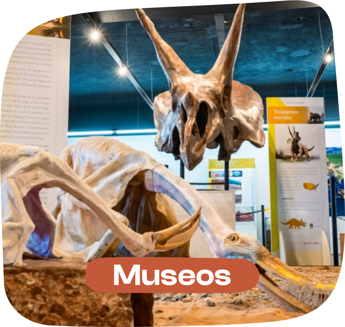 Museos