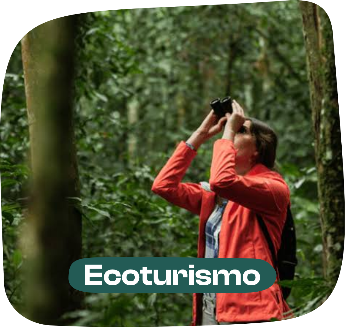 Ecoturismo
