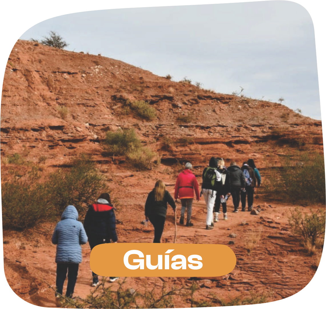 Guías