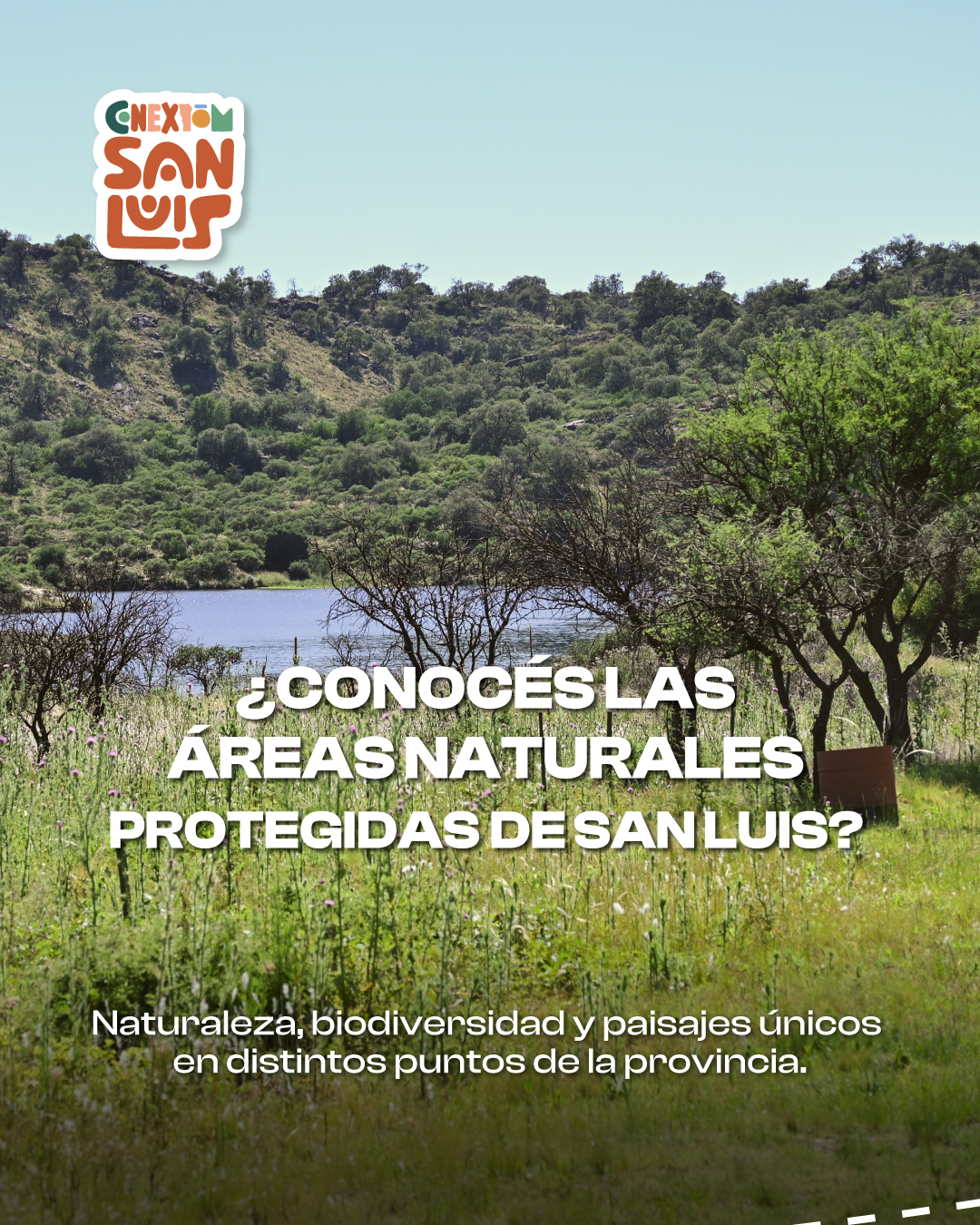 Publicación de Instagram
