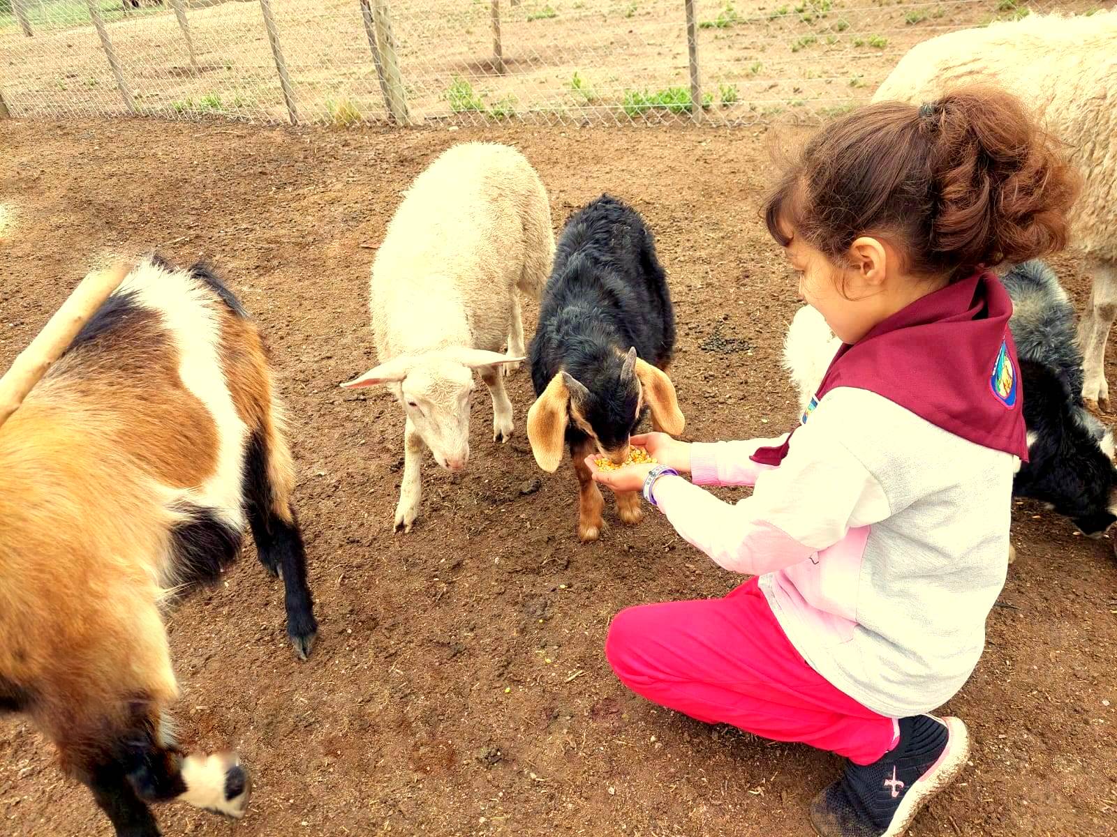 El Manantial Escondido - Dia de Campo