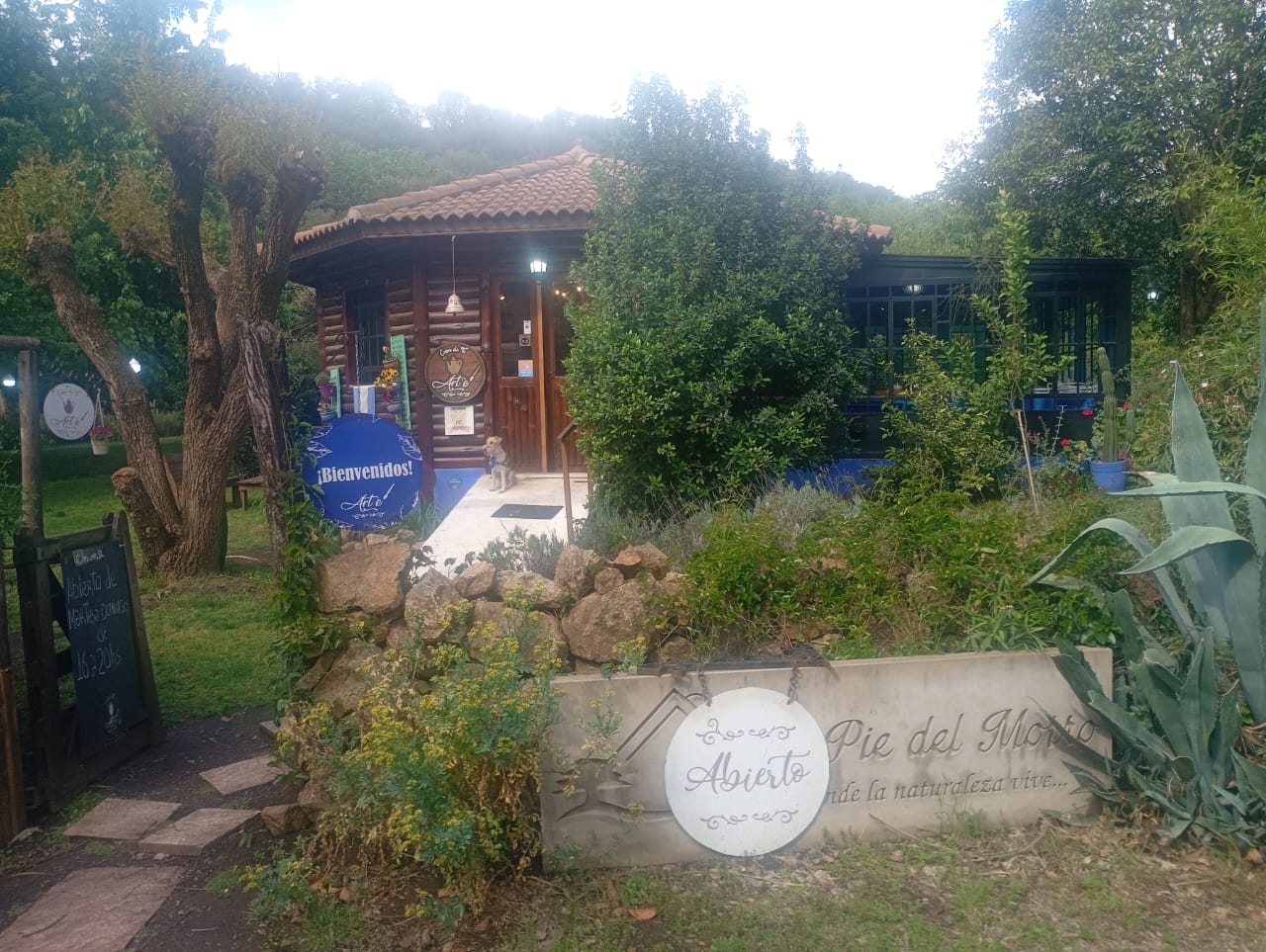 Casa de Té Arte