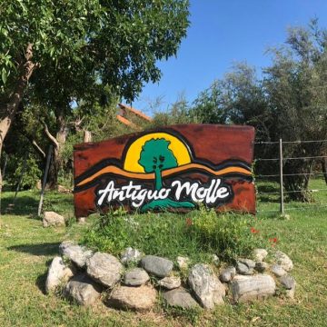 Antiguo Molle